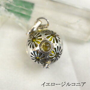 K{[ CG[WRjA y_ggbv t[ GXjbN AWA AeB[N h[{[ ou