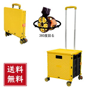 yzL[J[g ܂肽݁@4 J[g t^t É^C VbsOp  AEghA Lvp