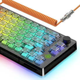 MAGIC-REFINER MK31ゲーミングキーボード メカニカル 全透明 3針軸 ホットスワップ 18RGB TYPE-C 66キー(US配列)小型 テンキーレス 有線キーボード キー防衝突 防水仕様 Windows/Mac IOS対応 仕事PC用/自宅ゲーム用 日本語説明書付き（ブラック）