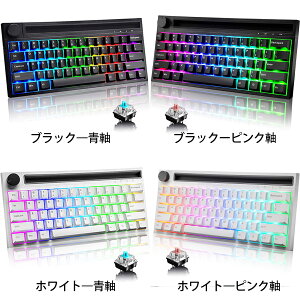 K620T Q[~OL[{[h CXBluetooth/LType-C 19RGBCg XCb`Ή 62L[ /sN @\}`fBAEmut