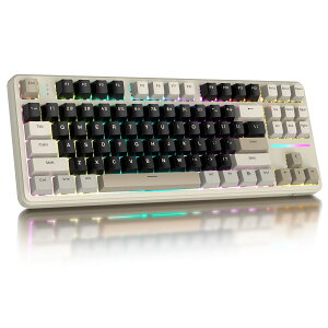 yzATTACK SHARK X87 Q[~OL[{[h CX/Bluetooth/USB O̐ڑ[h zbgXbv KXPbg\ 5wztH[ jA Xgx[? SL[Փ 4000mAhobe