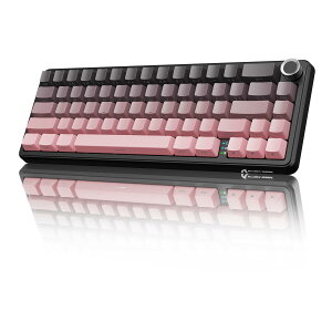 yzATTACKSHARK X66 Q[~OL[{[h 65%CAEg KXPbg zbgXbvΉ 2.4Ghz/Bluetooth/USB-CL JjJ {[mut LED 3000mAhobe[ RGBo