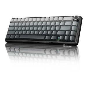 yzATTACKSHARK X66 Q[~OL[{[h 65%CAEg KXPbg zbgXbvΉ 2.4Ghz/Bluetooth/USB-CL JjJ {[mut LED 3000mAhobe[ RGBo