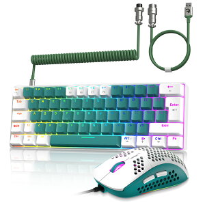 yzZIYOU LANG T60 L 60% @B JjJL[{[h Q[~OL[{[h}EXZbg RGB obNCgt eL[X hՓ TKL mCY ݑΖ RCP[u usb-c 
