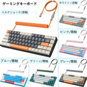 yzL 65% @BQ[~OL[{[h RGB LED obNCgt SL[hՓ TKL mCY ~j 70 L[ RCP[u usb-c P[u Ԏ ݑΖ {