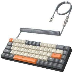 【送料無料】有線 65% 機械式ゲーミングキーボード RGB LED バックライト付き 全キー防衝突 TKL 低ノイズ ミニ 70 キー コイルケーブル usb-c ケーブル 青軸 在宅勤務 日本語説明書