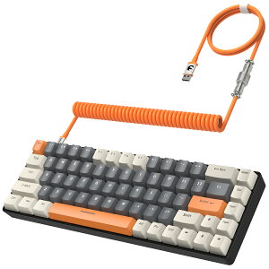 yzL 65% @BQ[~OL[{[h RGB LED obNCgt SL[hՓ TKL mCY ~j 70 L[ RCP[u usb-c P[u  ݑΖ {
