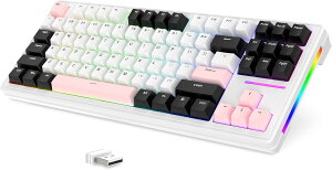 10% OFF  ATTACK SHARK M87 JjJQ[~OL[{[h PBTX^CL[Lbv 3[h Bluetooth5.0/2.4Ghz/Type-C 87L[ A`S[Xg RpNg JX^?ʎ GASKET RGB [