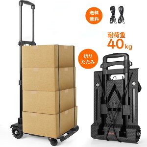 y10%OFF zL[J[g J[g VbsOJ[g ܂肽ݎ [₷ y XeX|f 3iK É TPE^N PUO\ȑO 360x tbNt