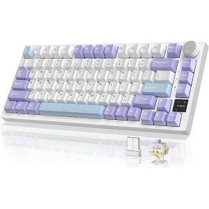 y10%OFF zATTACK SHARK x AJAZZ AK820 PRO JjJL[{[h 75% jA RGBobNCg zbgXbvΉ Q[~OL[{[h mut TFTXN[ 2.4Ghz/ Bluetooth 5.1/L PBTL[