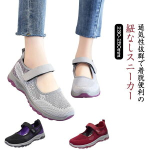 ʋCQ C Xj[J[T_ [Jbg E bV i[XV[Y wlC  ₷ ʋCQ   fB[X ɂ y Xb| bVXj