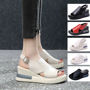 zCg nCJbg fB[X q[Xj[J[ X _CGbgV[Y ̓ T_ gAbv v[g  C  r  fB[X zCgf[