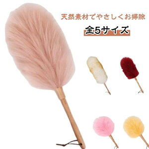 uVbv v[g ԗp  | Lknh Mtg JԂg ق Еt ͂ т΂ ֗ObY r zR nfBbv g₷ nh