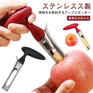 ƒp 񂲂̐c XeX c ʕ t[c V  w^ Lb`pi ʕ̐c@ pCibv c  t[cRA[ ֗ObY