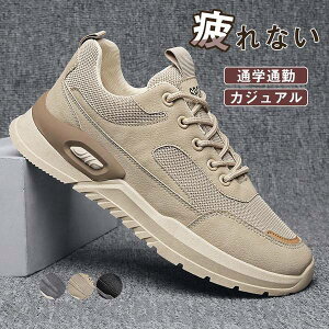 ʊw   JWA ₷  Xj[J[ V[gu[c  Y EH[LOV[Y ʋ  jOV[Y