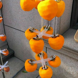 DIY `nK[ ^` ̓ hCt[c ` ƒp ^`OK t[c _ V^ V `݂邵 `nK[ _p ` ` `݂邵 