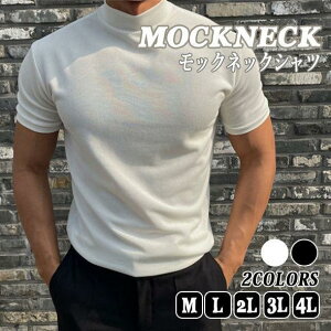 X|[cEGA y Ci[Vc StVc Y StbNlbN 傫TCY  bNlbN z JWA StEGA TVc