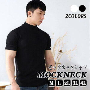 X|[cEGA z St Vc  St nClbN Xgb` uh StEFA Y tVc  傫TCY bNlbN y