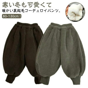 �����O�p���c �ʊw 90 130cm 80 �J�W���A�� ���Y�{�� ���{�A �ʉ� ���������p���c 100 �g���� 110 ������� �H�~ 120