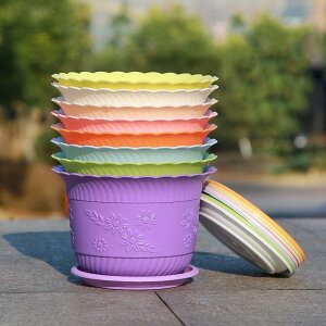 [ 5_Zbg oRj[ e[u vX`bN ItBX 蕨 뉀 Aؔ Vv |pi v^[ ꌊt GsN