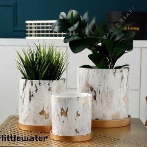 Aؔ 픫  A t 󂯎Mt AA   k ϗtA  S[h v^[ CeA 嗝Ζ͗l A 11cm 