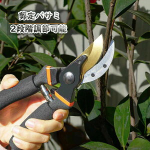 ����₷�� �K�[�f�j���O ��|�� �� ������ ����o�T�~ �K�тɂ��� ���� �A�؂΂��� ���S�� �K�[�f���p�i �~�� �G�� ����΂��� �ϗt�A�� ���� �}�؃o�T�~ �ؒf 2�i�K���߉\ ������ �~��