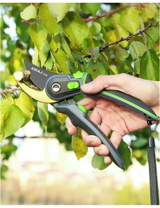  oT~ ΂ |΂ 뉀 }؂΂ }  G }؂΂ P[X |  }؂oT~ K[fjO [P[Xt P[X  A؂΂ ~