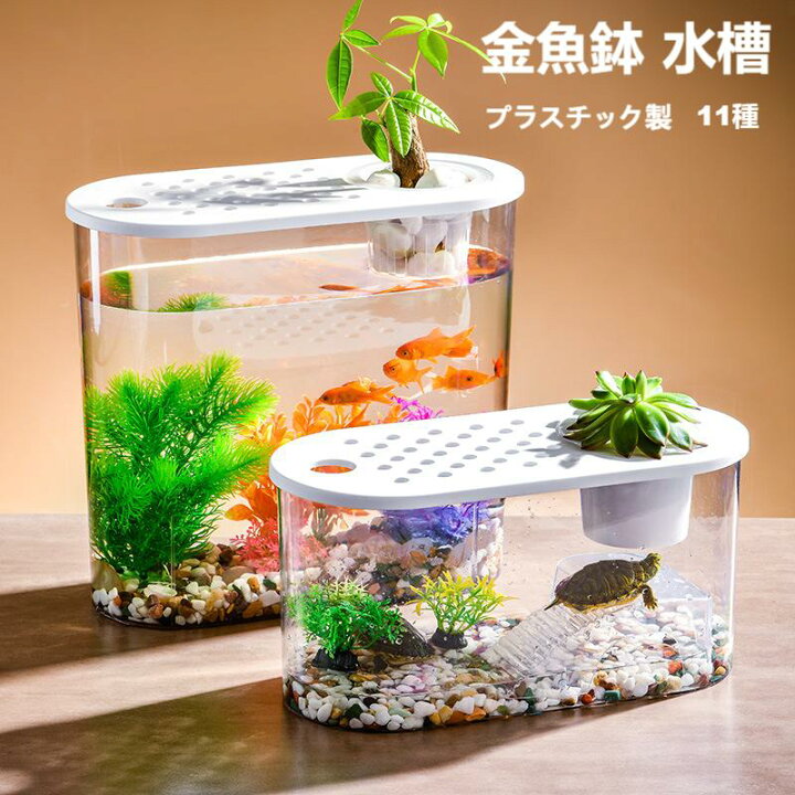 楽天市場】金魚鉢 水槽 プラスチック 亀水槽 カメ 水槽 飼育ケース 