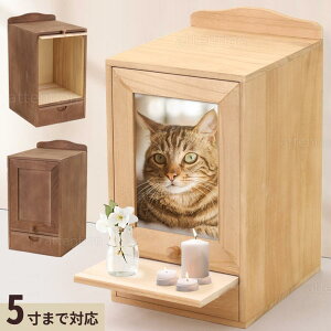ybgd  ybgp d ~j  ⍜ 16*16*22cm  [ BOX ybg  L ʐ^t[ ʐ^ A{bNX