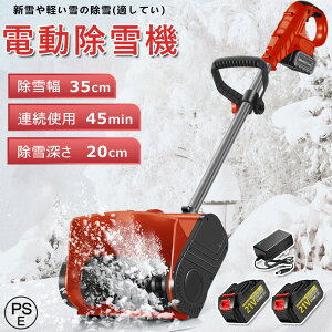 y2025ŐVo z@ d@ Ⴉ@ Ⴉ R[hX [d ƒp ᕝ30cm  dXRbv Vx ^ pi Vx y ֗ Ⴉp XRbv 