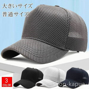 yẑ̑傫ȕ rbOTCY 傫 UVJbg ꕔ StXq Xq Lbv bVLbv 傫TCY