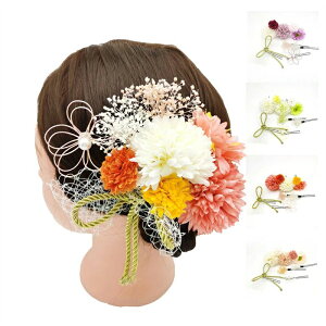  aANZT[ hCt[ 4FWJ l ܎O Ǝ  p[eB[    U a aANZT[ sN  p