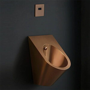 rosegold �ǂɎ��t����ꂽ���֊�o�X���[���g�C���X�e�����X�|���֊�A�Z���T�[���֊�t���b�V���o���u�t�����p���j�o�[�T�����֊�R�l�g�C���A�z�e�����X�g���������j���p���֊�j��