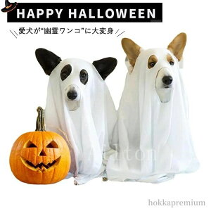 yz nEB RX`[ ybg}g S[Xg z[ H   _炩  ʔ RXv  ^