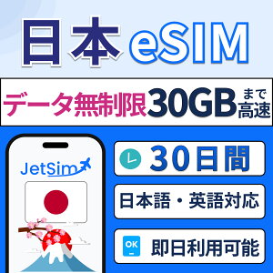 { eSIM  Œf[^ʃv vyChSIMyWFbgVzʐM 4G/5GΉ ȒPݒ eUOOK 30