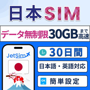 { SIM SIM  Œf[^ʃv vyChSIMyWFbgVzʐM hR 4G/5GΉ ȒPݒ eUOOK Ks ꎞA 20 30