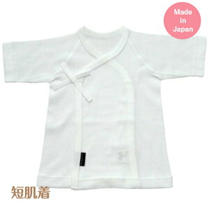 V  { ɗD Z 50cm ْ̍f n tCX I[V[Y zCg ӂ oq