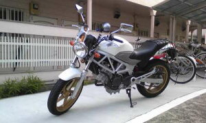 ynƍՃZ[ KjbNv[g10OFFz1Nۏؕt eiXNXtIVTR250 ėp EChXN[ ~jJE h oCNp NA X[N