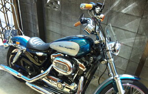 y11/1~ő2,000~OFFN[|z1Nۏؕt eiXNXtIHD n[[ XL1200C X|[cX^[ tohtėpEChXN[ [WS-01] tH[N}Eg^Cv NA/X[