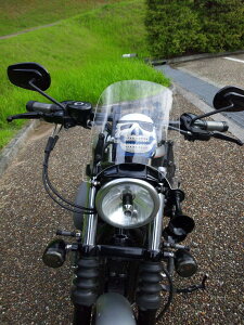 ynƍՃZ[ Iv[gt30OFFz1Nۏؕt eiXNXtIHD n[[ XL1200N X|[cX^[ iCgX^[ tohtėpEChXN[ [WS-01] tH[N