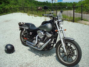 1Nۏؕt eiXNXtIHD n[[ FXR _Ci tohtėpEChXN[ [WS-01] tH[N}Eg^Cv NA/X[N