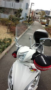 1Nۏؕt eiXNXtIfBI110 DIO110 EChXN[ tėph NA A_v^[t