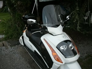 y11/1~ő2,000~OFFN[|zeiXNXtIXYL WF} EChXN[ WS-11Gt ėp EBhXN[ NA EChV[h h V[hXN[ E