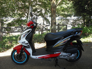 y11/1~ő2,000~OFFN[|z1Nۏؕt eiXNXtISYM WFbg4 EChXN[ [WS-11G] tėph NA