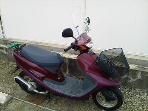 y11/1~ő2,000~OFFN[|z1Nۏؕt eiXNXtI^Ng EChXN[ tėph NA A_v^[t