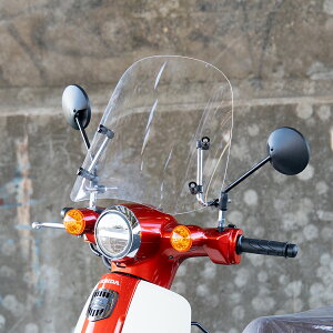 y11/1~ő2,000~OFFN[|z1Nۏؕt eiXNXtIX[p[Ju110 EChXN[ tėph NA A_v^[t