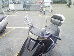 y11/1~ő2,000~OFFN[|z1Nۏؕt eiXNXtIAhXV100 tėpEChXN[ h NA X[N