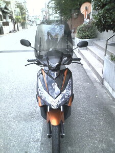 y11/1~ő2,000~OFFN[|z1Nۏؕt eiXNXtINbN CLICK [WS-04AD] tėpEChXN[ h NA X[N A_v^[t