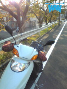 y11/1~ő2,000~OFFN[|z1Nۏؕt eiXNXtIXyCV[100 Xy[V[100 tėpEChXN[ h NA X[N