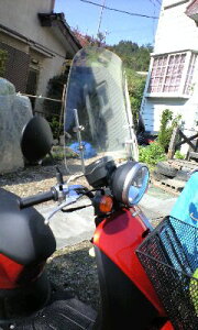 y11/1~ő2,000~OFFN[|z1Nۏؕt eiXNXtITODAY gDfC gDf[ tėpEChXN[ h NA X[N